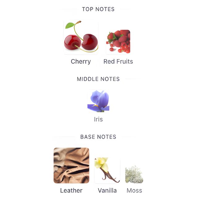 French Avenue CHAOS Flash Sale