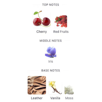 French Avenue CHAOS Flash Sale