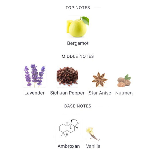 Maison Alhambra SALVO INTENSE