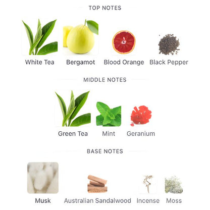 Calvin Klein CK ONE ESSENCE Parfum Intense