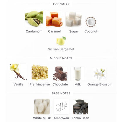 Ahmed Al Maghribi BRÛLÉE