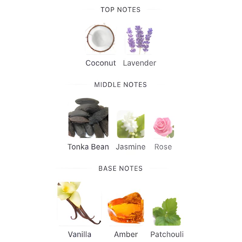 Gulf Orchid VANILLA ADDICTION