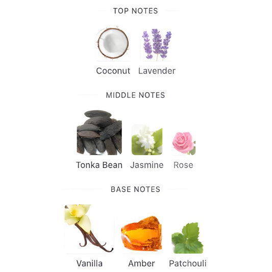 Gulf Orchid VANILLA ADDICTION