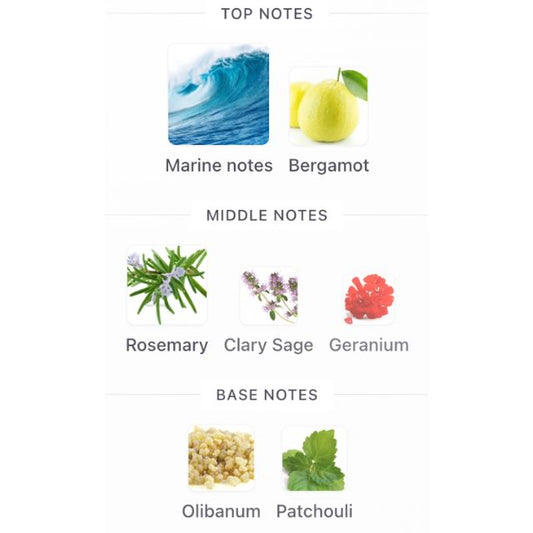 Giorgio Armani ACQUA DI GIO PARFUM