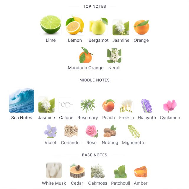 Giorgio Armani ACQUA DI GIO EDT