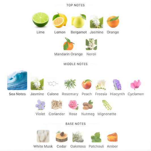 Giorgio Armani ACQUA DI GIO EDT