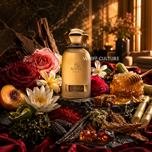 Ahmed Al Maghribi IGNITE ROSE