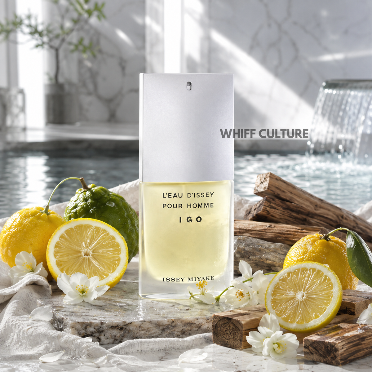 Issey Miyake L'EAU D'ISSEY POUR HOMME IGO EDT Tester