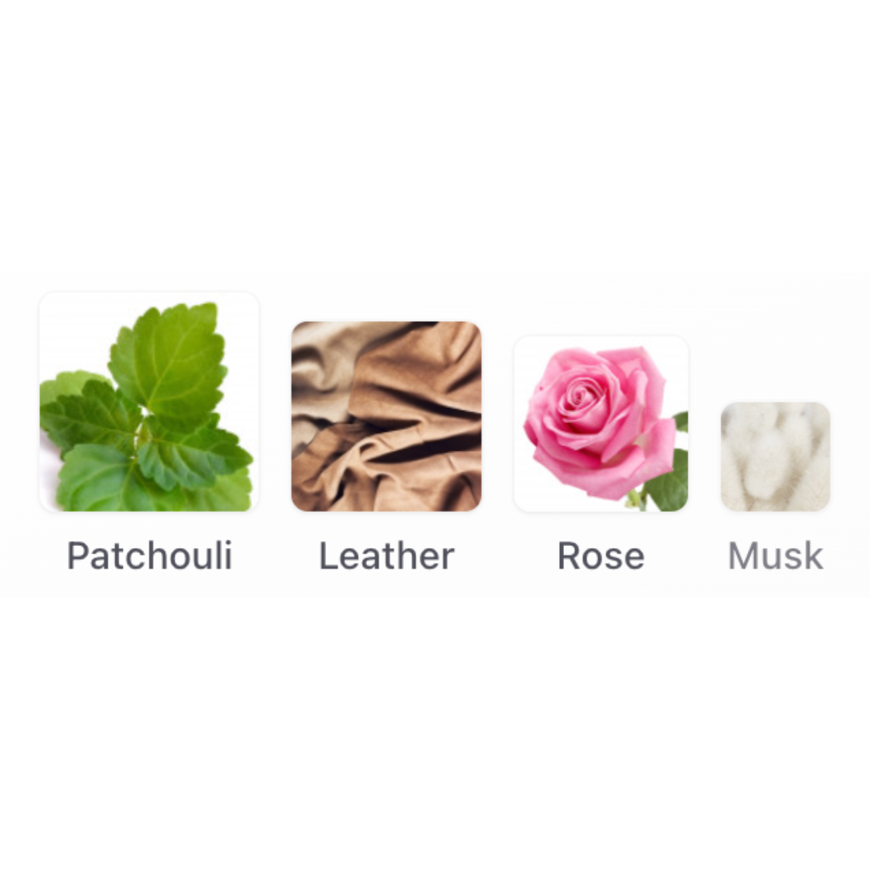 Guerlain PATCHOULI ARDENT