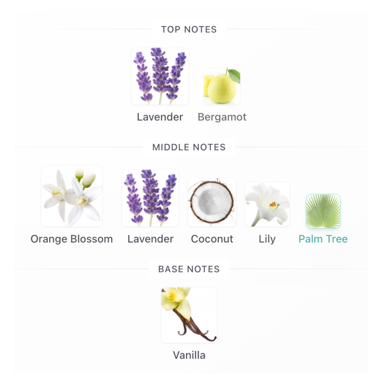 YSL LIBRE FLOWERS & FLAMES