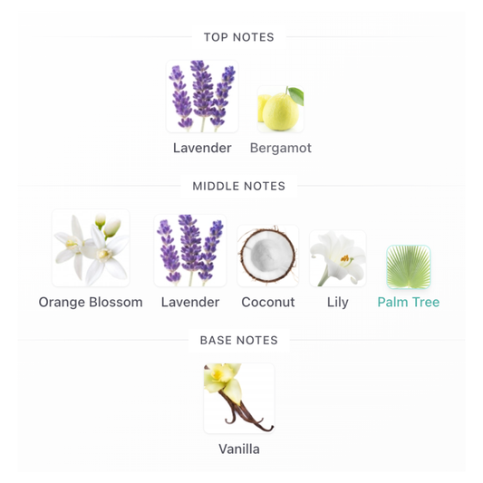 YSL LIBRE FLOWERS & FLAMES