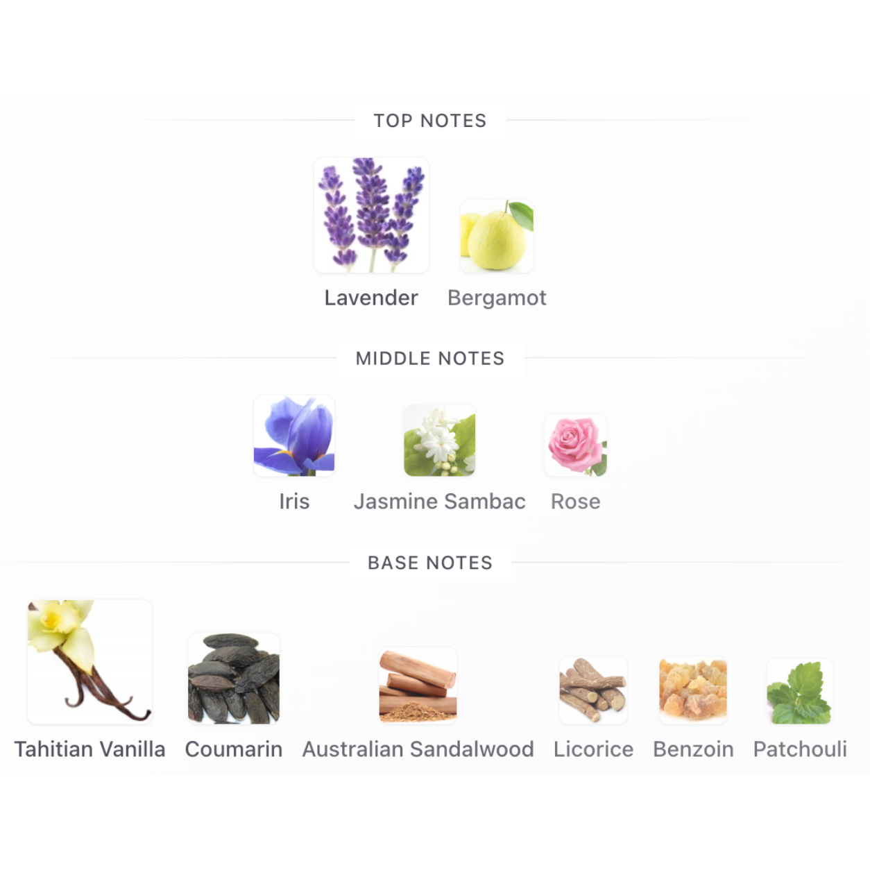 Guerlain MON GUERLAIN EDP