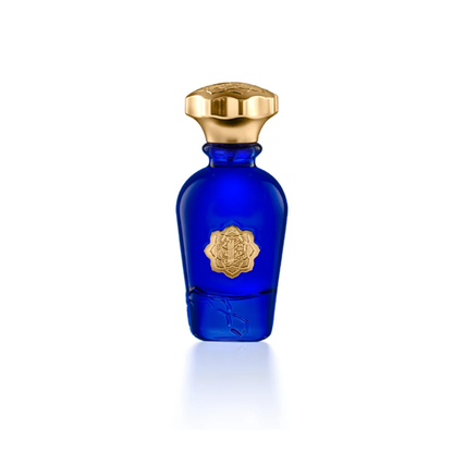 Albait Aldimashqi DIOR HOMME INTENSE