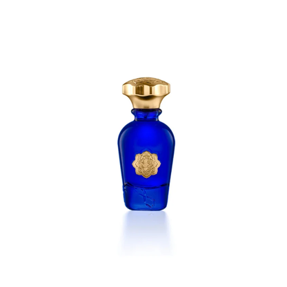 Albait Aldimashqi DIOR HOMME SPORT