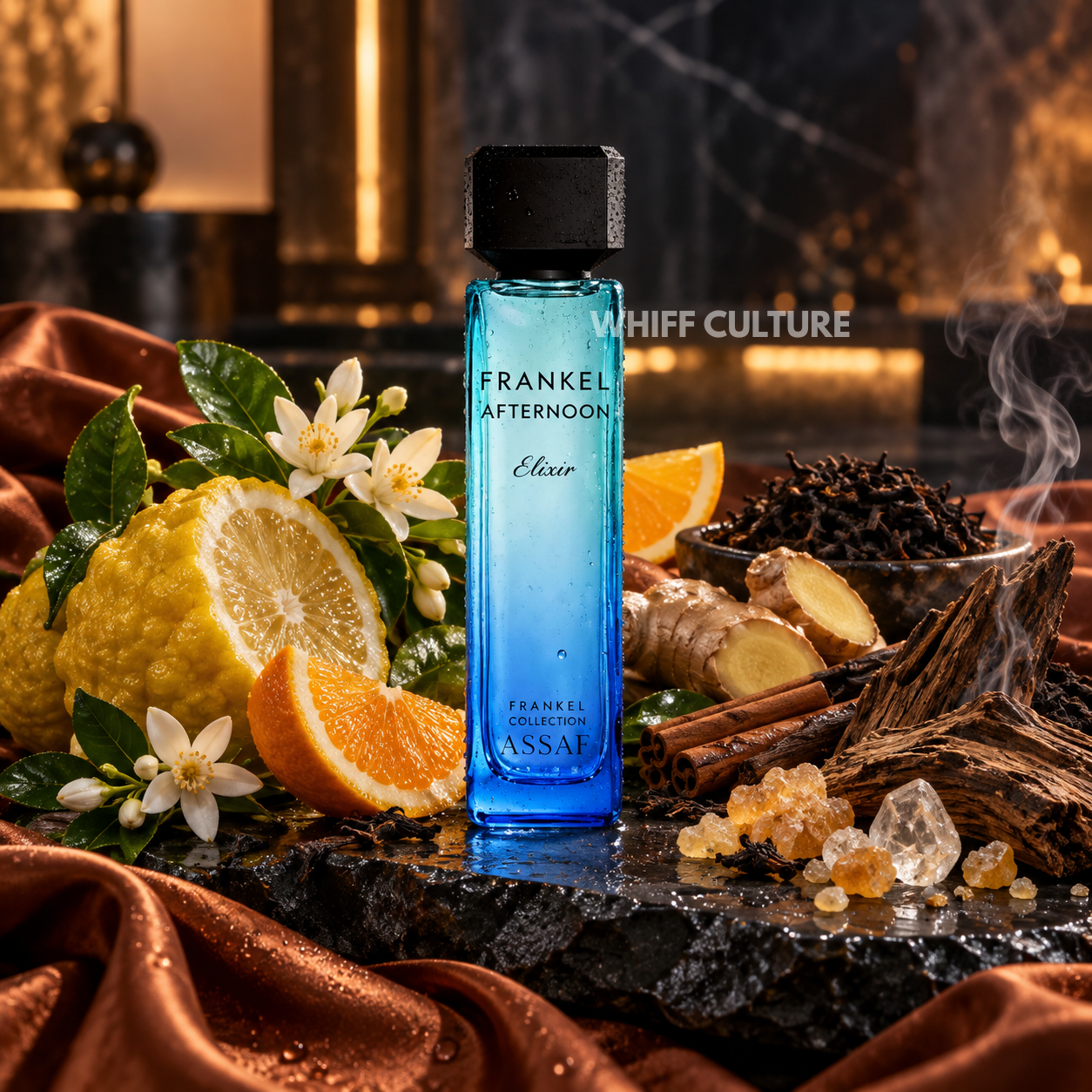 Assaf FRANKEL AFTERNOON ELIXIR