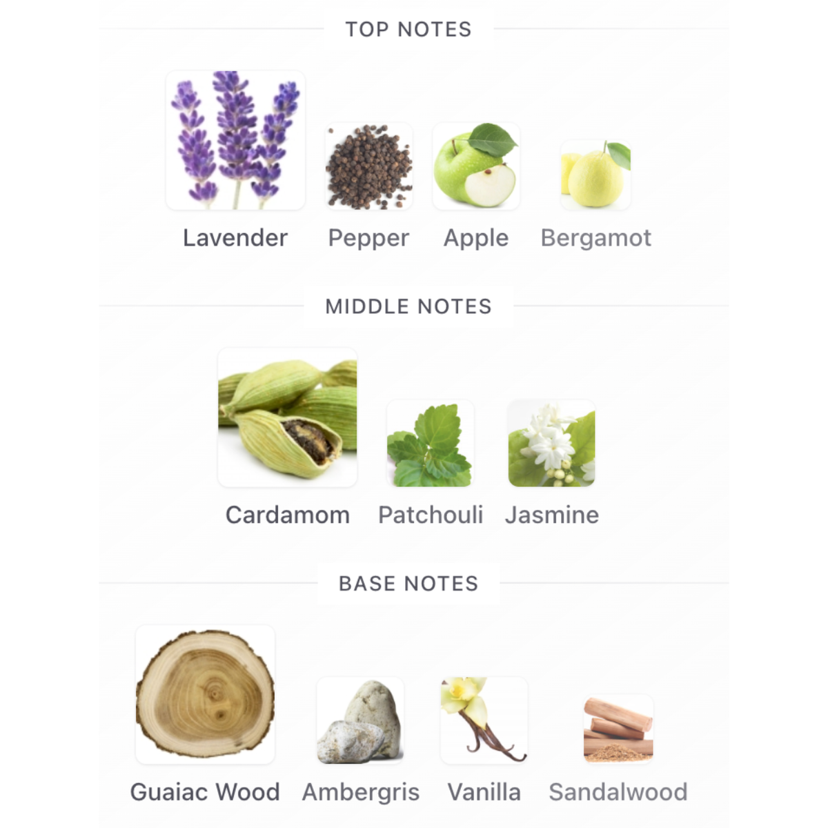 Caneza VELENO