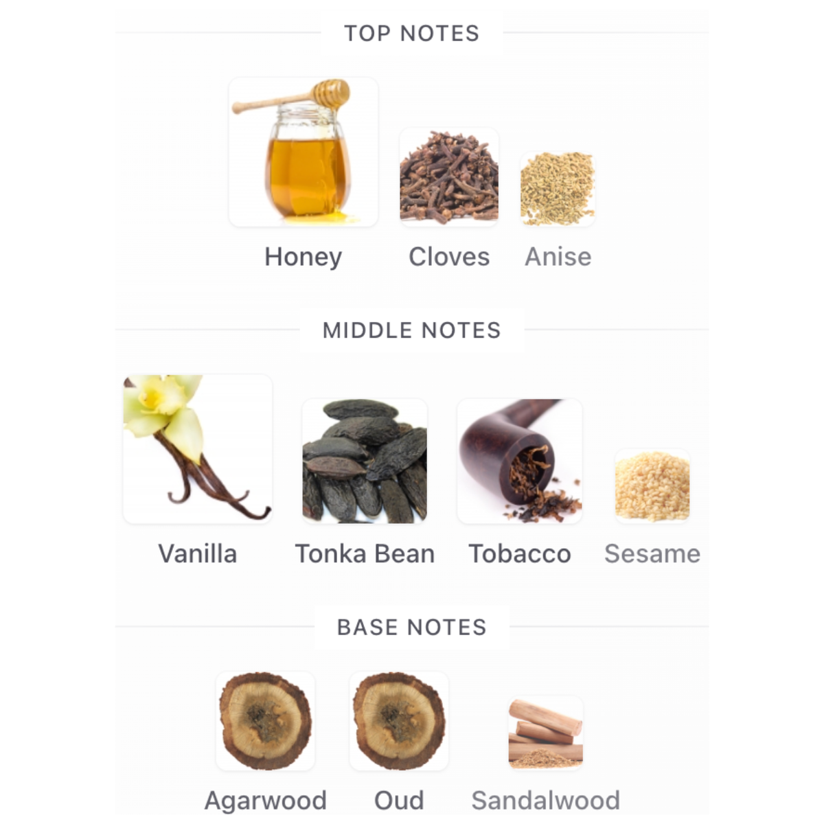 Parisbelle HONEY TABAC