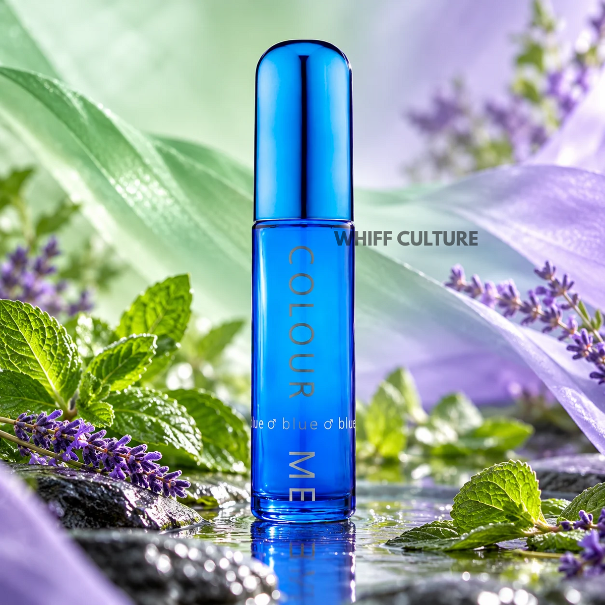 Milton Lloyd Colour Me Blue perfume for men – mint, lavender and vetiver fragrance