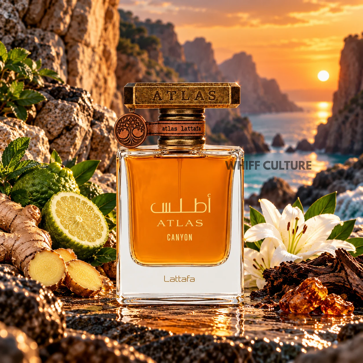 Lattafa Atlas Canyon Eau de Parfum unisex – ginger, marine notes and ambroxan fragrance