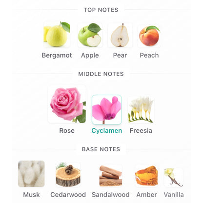 Arabian Oud MUSK ROSE