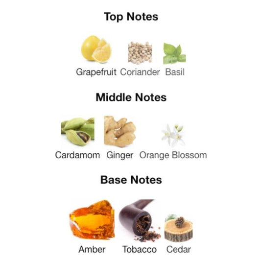 Dolce & Gabbana The One Tester