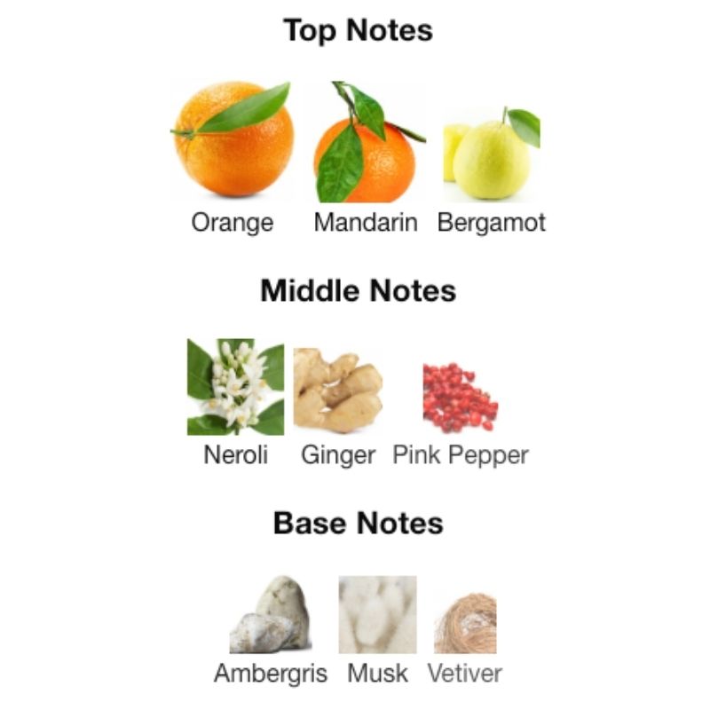 Rayhaan ADONIS ICARUS