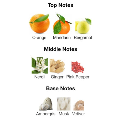 Rayhaan ADONIS ICARUS