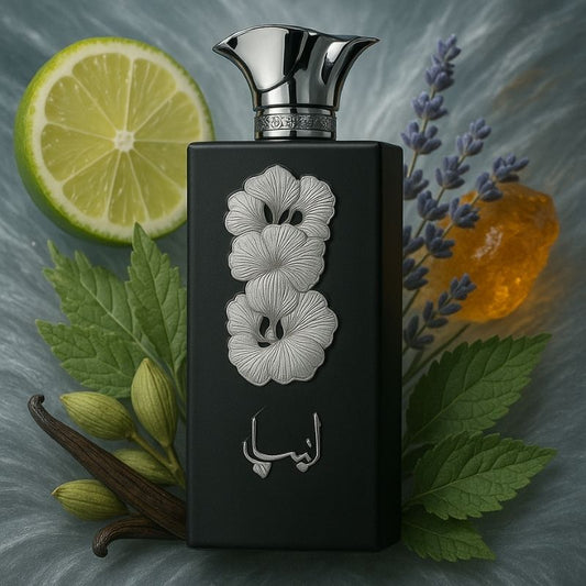 Lattafa ANSAAM SILVER