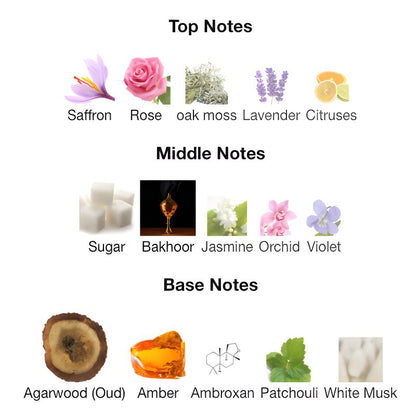 Ahmed Al Maghribi BIN SHEIKH