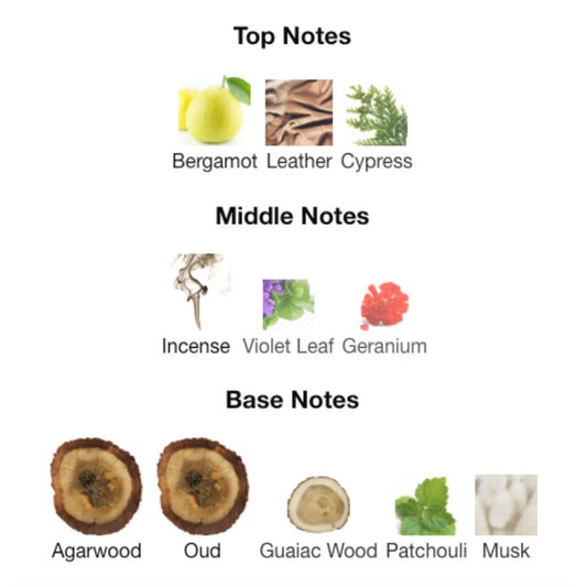 Ahmed Al Maghribi BLU OUD