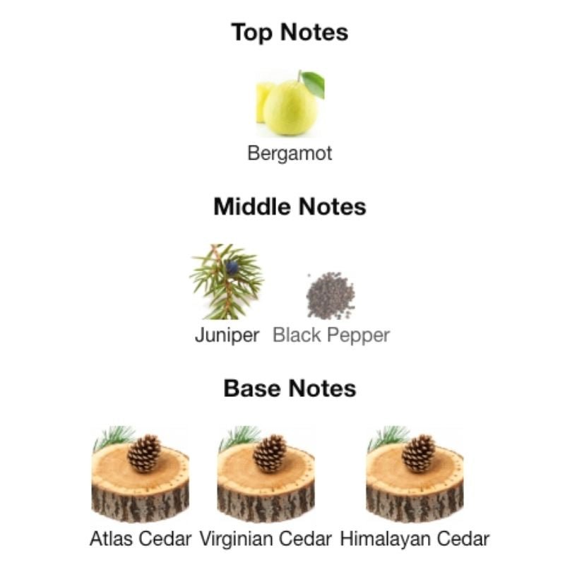 Burberry HERO EDT - WHIFF CULTURE