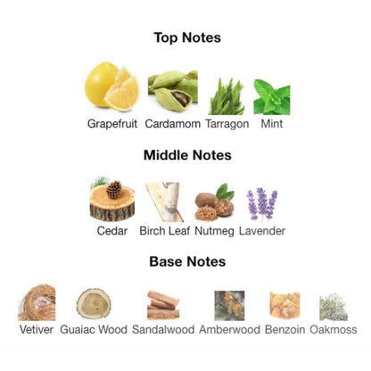 Burberry MR. BURBERRY EDP - WHIFF CULTURE