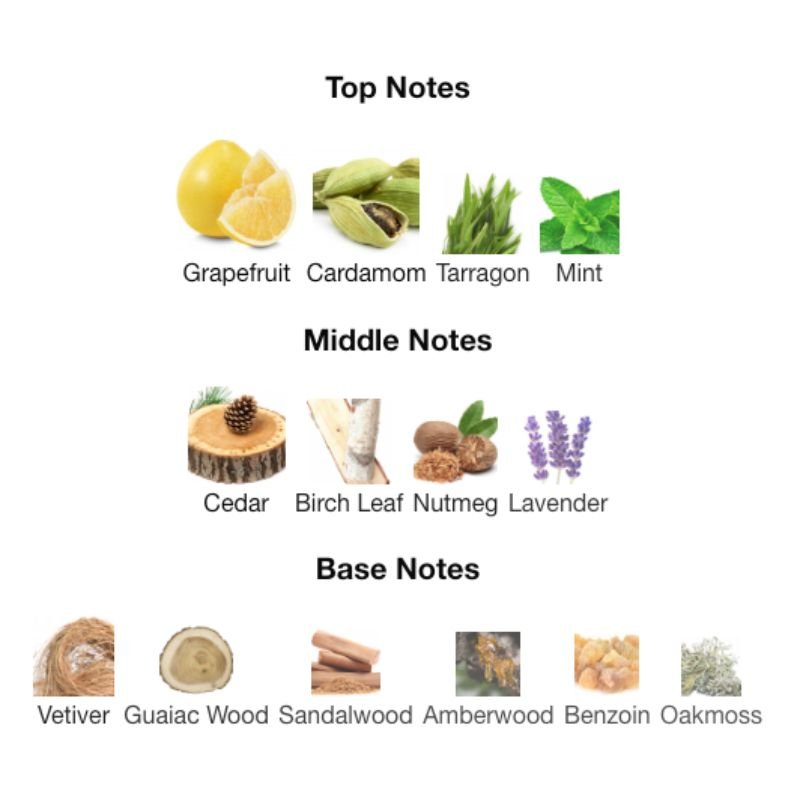 Burberry MR. BURBERRY EDT - WHIFF CULTURE