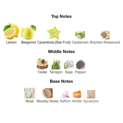 Versace MAN EAU FRACHIE