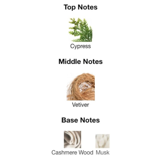 Lalique ENCRE NOIR EDT