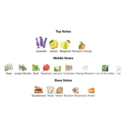 Calvin Klein ETERNITY