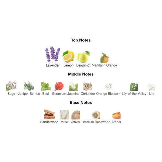 Calvin Klein ETERNITY