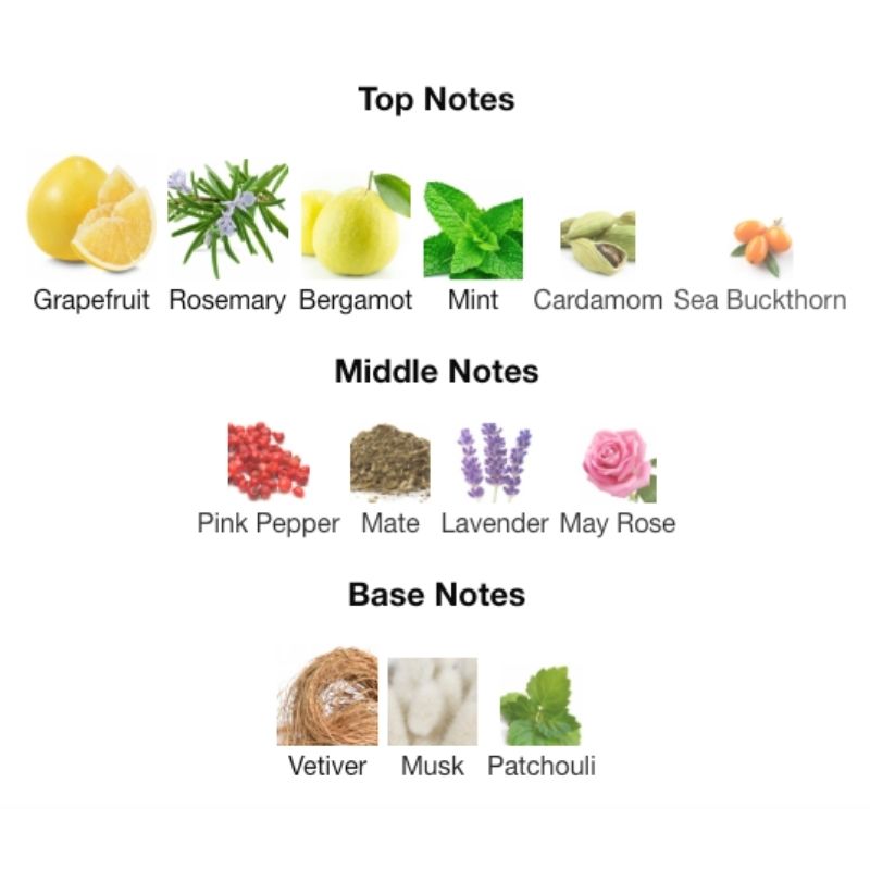 ISSEY MIYAKE L'Eau D'Issey Pour Homme