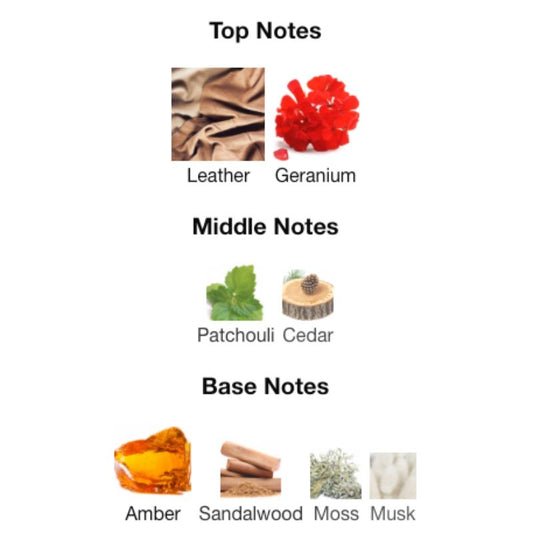 Ahmed Al Maghribi IGNITE OUD