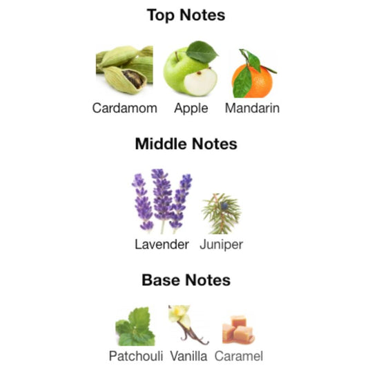 Paris Corner INTENSE WAYFARER