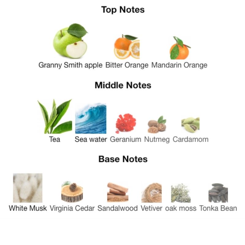 Jaguar CLASSIC BLACK