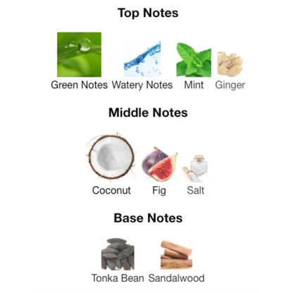 Jean Paul Gaultier LE BEAU PARADISE GARDEN - WHIFF CULTURE