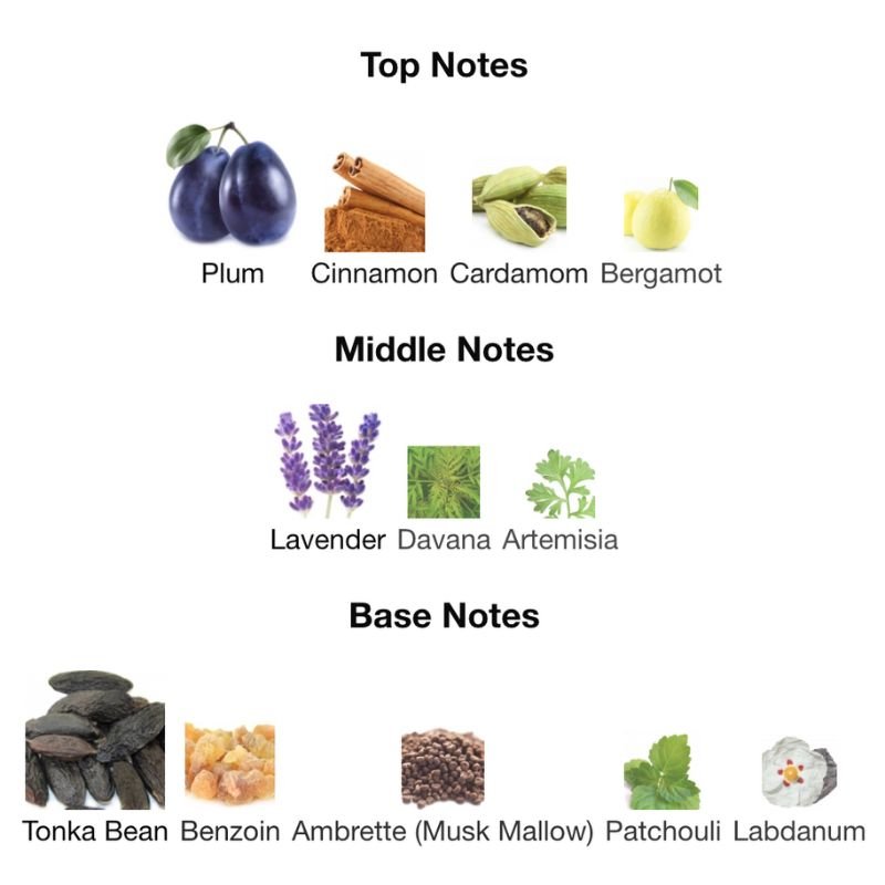 Jean Paul Gaultier LE MALE ELIXIR ABSOLU - WHIFF CULTURE