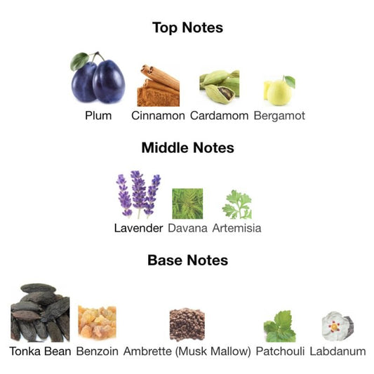 Jean Paul Gaultier LE MALE ELIXIR ABSOLU - WHIFF CULTURE