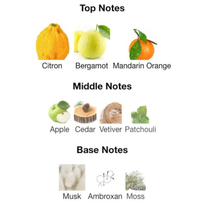 Jimmy Choo MAN ICE - WHIFF CULTURE