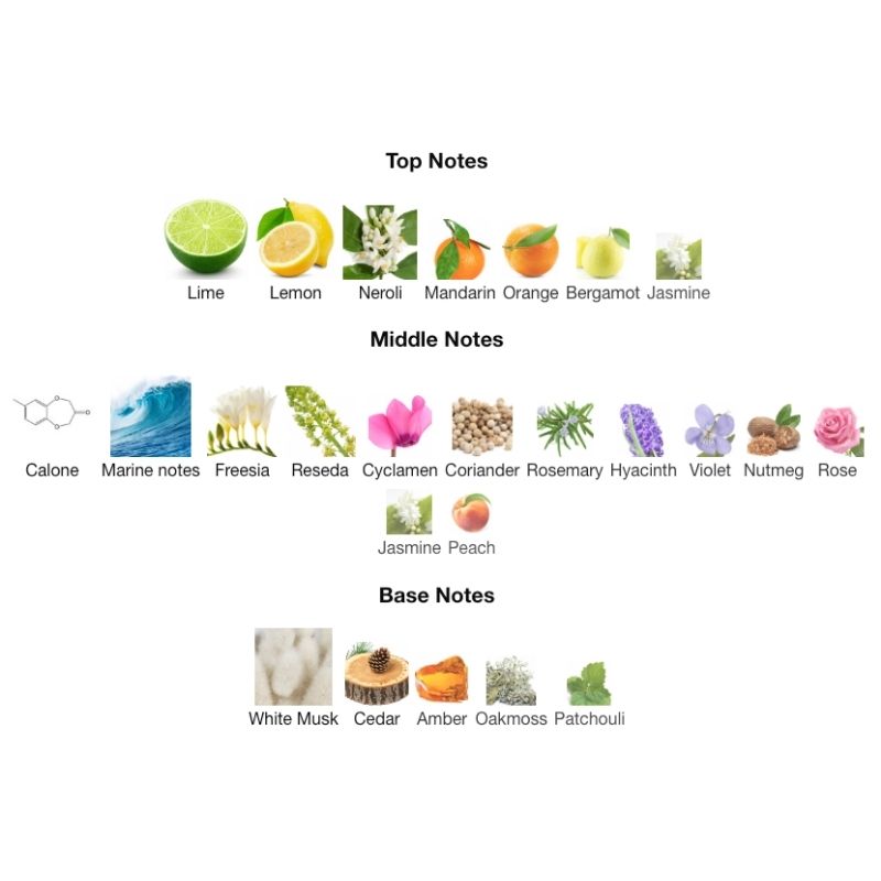 Maison Alhambra JORGE DI PROFUMO AQUA