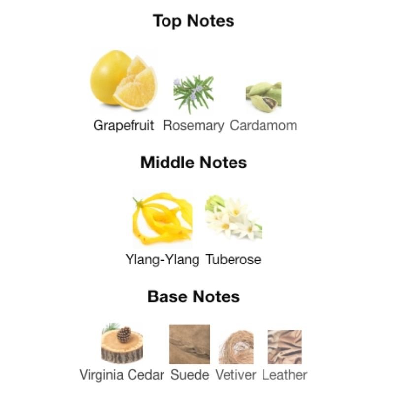 Lacoste L.12.12 - WHIFF CULTURE