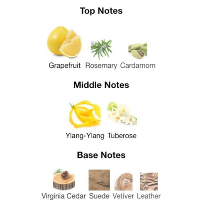 Lacoste L.12.12 - WHIFF CULTURE