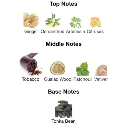 Paris Corner CHARUTO MYSTERIOUS TOBACCO