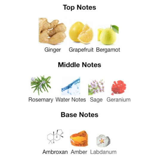 Maison Alhambra JEAN LOWE IMMORTAL Partial - WHIFF CULTURE